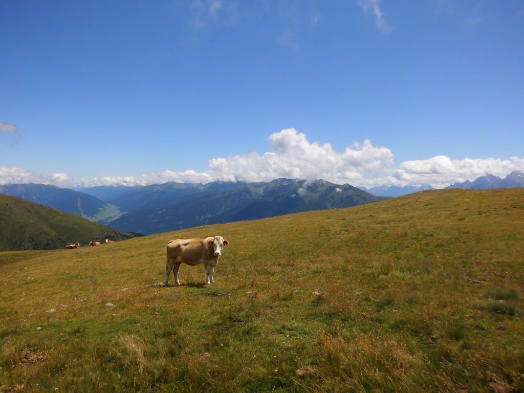 Ferienwohnung Obergarberhof Sillian Zimmer foto